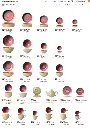 Aurora rose quarz Teile.webp