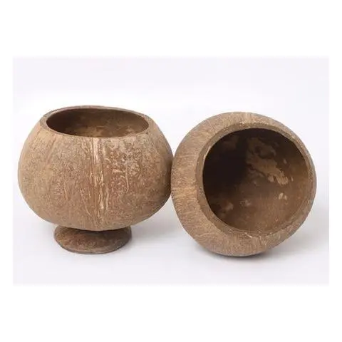 tic0913 coconut natural with base 2.webp