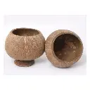 tic0913 coconut natural with base 2.webp