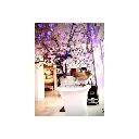 wgolbwl champagne bucket bowl gold 2.webp