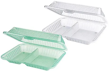 Menübox  mit 2 Fachern 21 x 25,5 x 7,5 cm Eco Takeout - Restposten