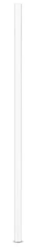 Glas Trinkhalme 240 mm klar 50er Set 