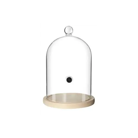 Glaskuppel zum Smoken Edelstahl goldfarben 