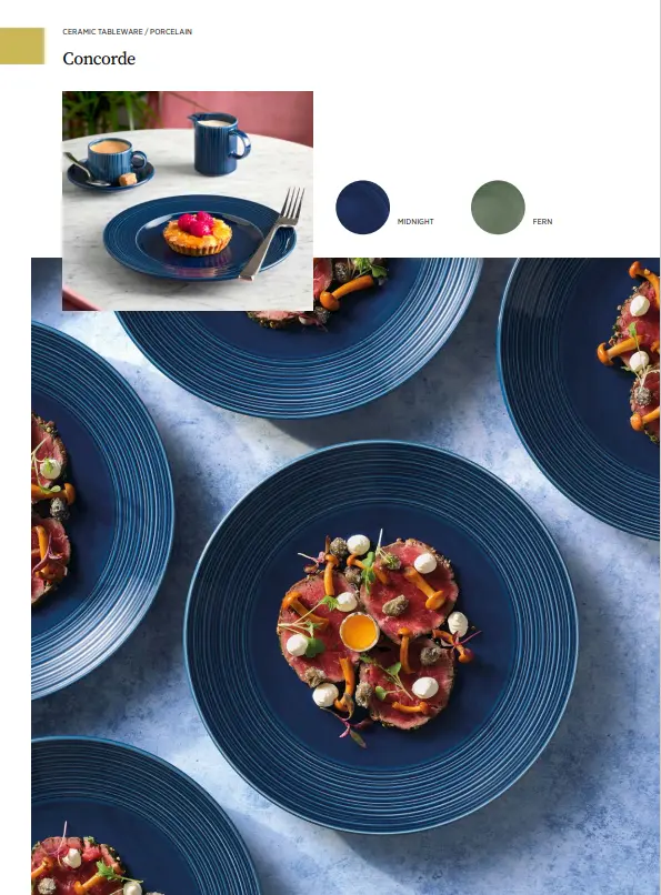 Concorde Vollglasur farbig