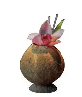 [PR/04220] Kokusnuss natur 