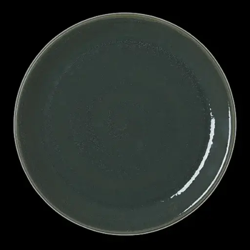 [PR/07134] Coupe Plate 28 cm Revolution Jade