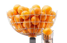 [PR/00604] Fruchtkorb inkl. Halterung für Revolution Orangensaftmaschine